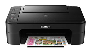 Canon TS3150