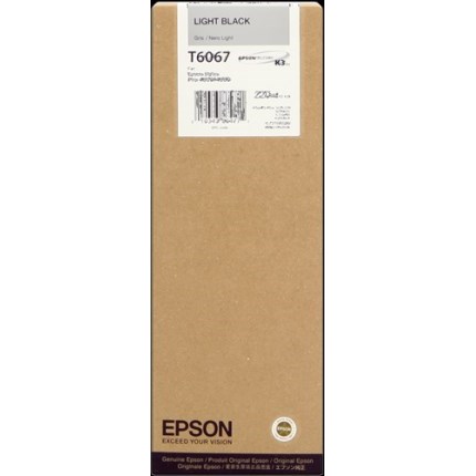 Cartuccia Epson T6067 (C13T606700) Nero Light Originale