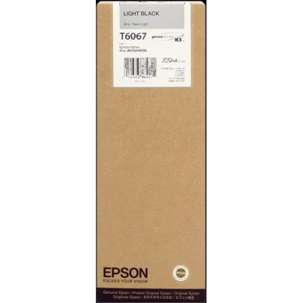 Cartuccia Epson T6067 (C13T606700) Nero Light Originale