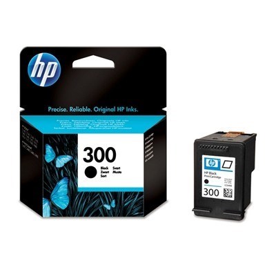 Cartuccia HP 300 (CC640EE) Nero Originale